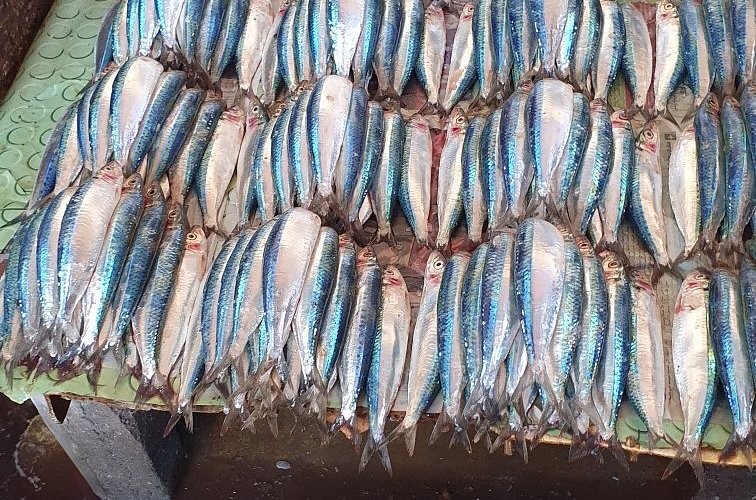 Market 3